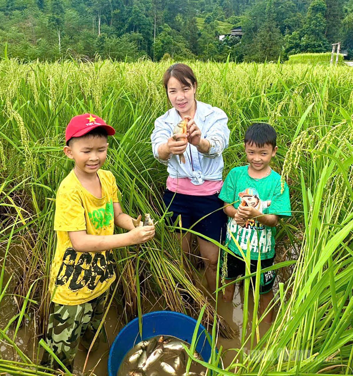 Tuyên Quang: Du lịch nông nghiệp nâng tầm kinh tế nông thôn