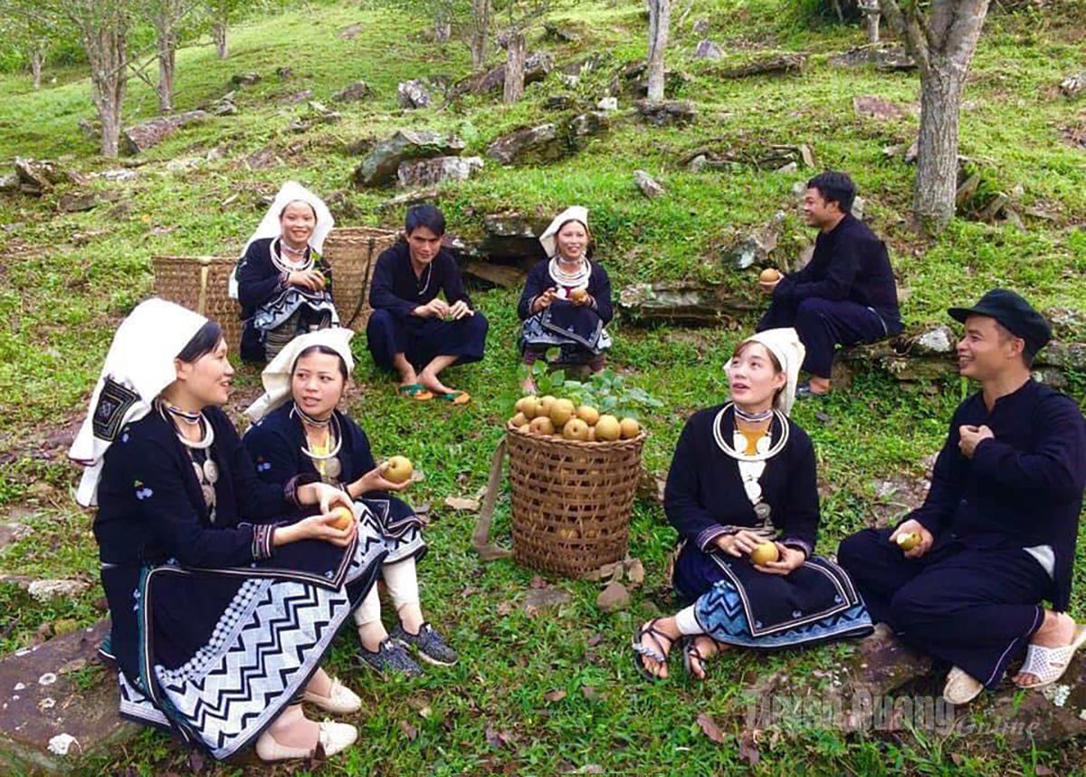 Tuyên Quang: Du lịch nông nghiệp nâng tầm kinh tế nông thôn