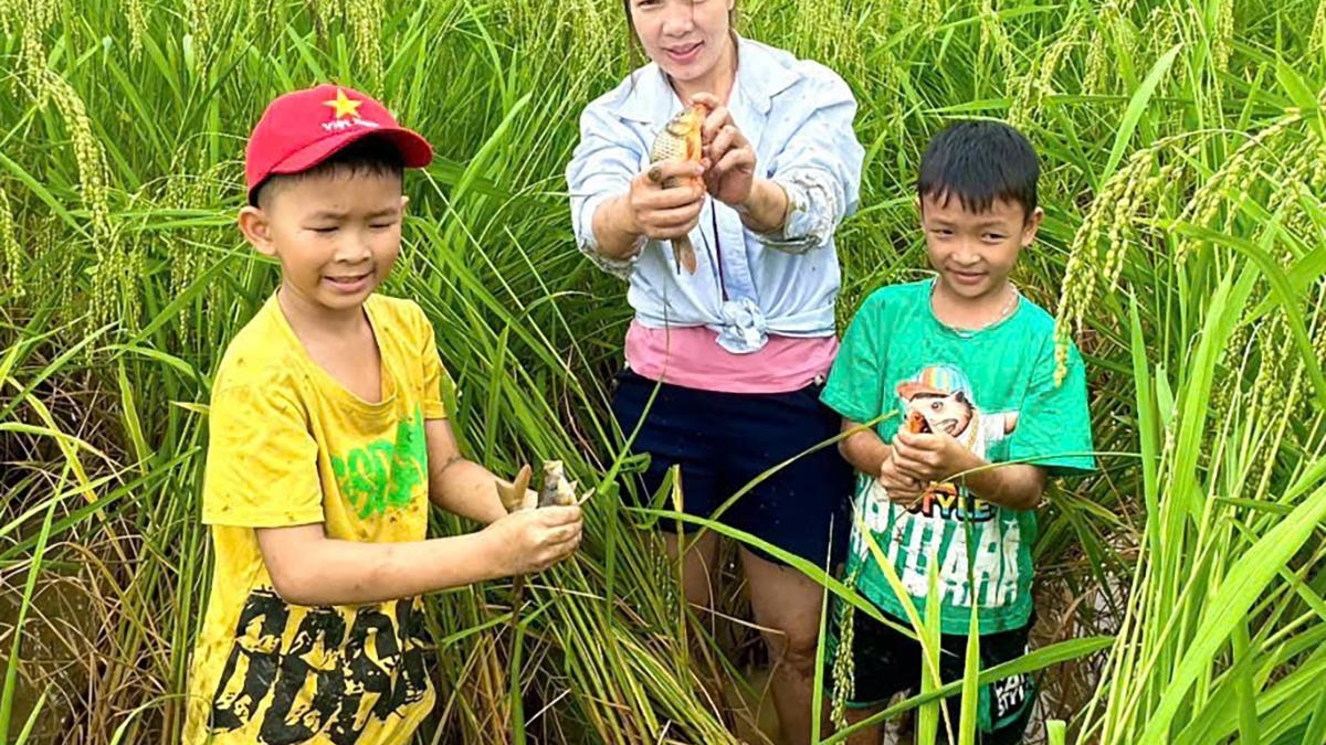 Tuyên Quang: Du lịch nông nghiệp nâng tầm kinh tế nông thôn