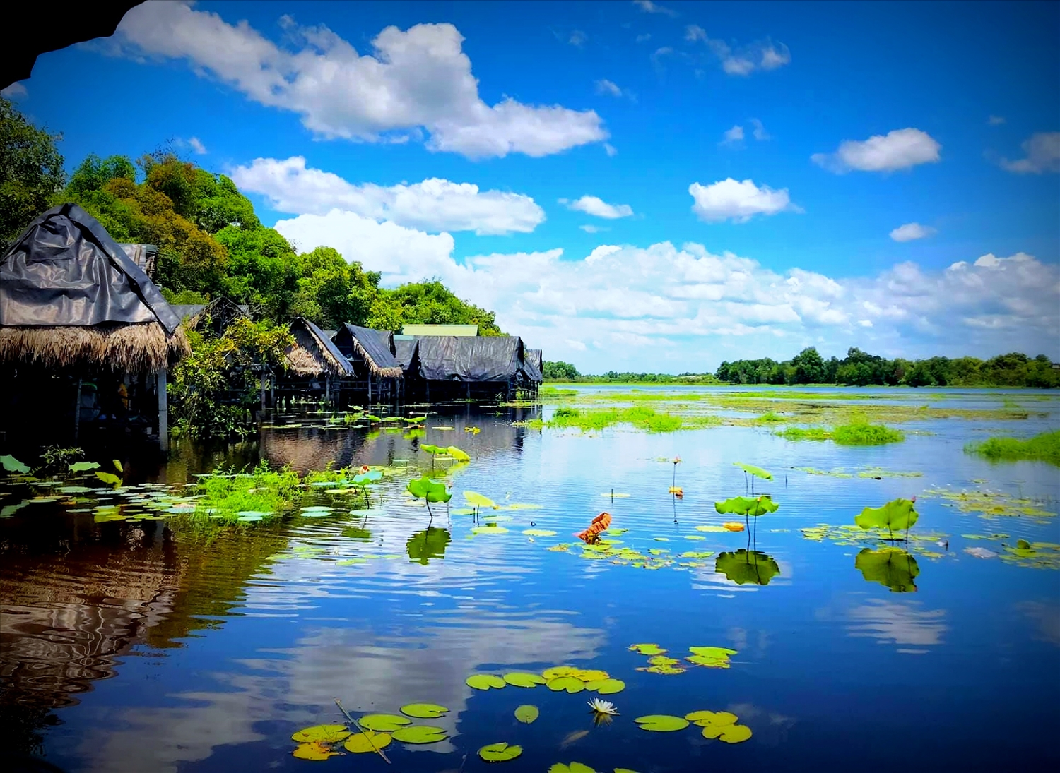 Người về vui hội với trằm