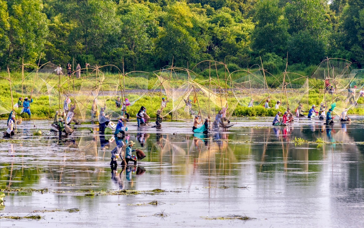 Người về vui hội với trằm