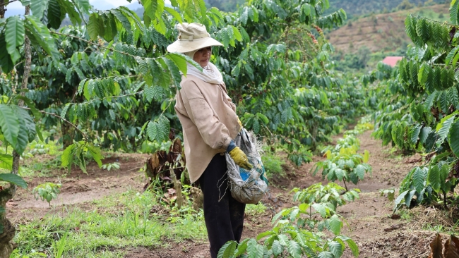 Lâm Đồng: Đam Rông 2 chuyển mình trên hành trình giảm nghèo bền vững