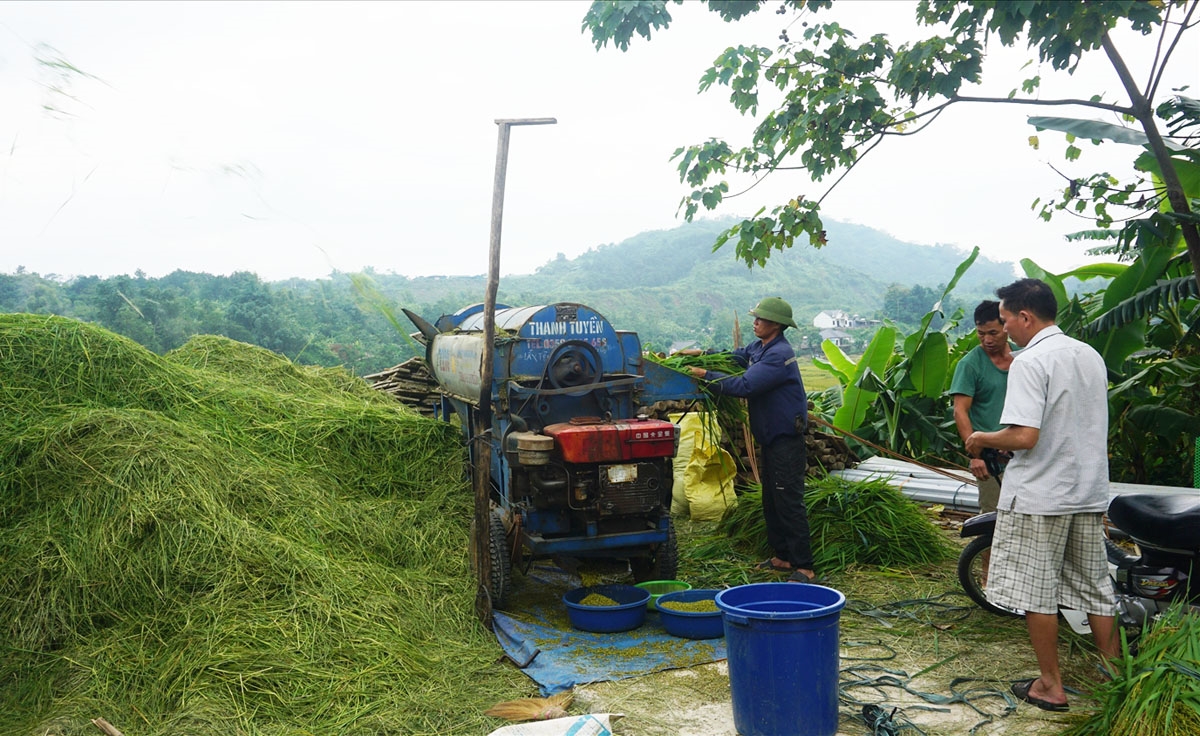 Về Hợp Thành trải nghiệm hương cốm mới