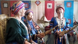 Tuyên Quang: Hoa giữa đời thường