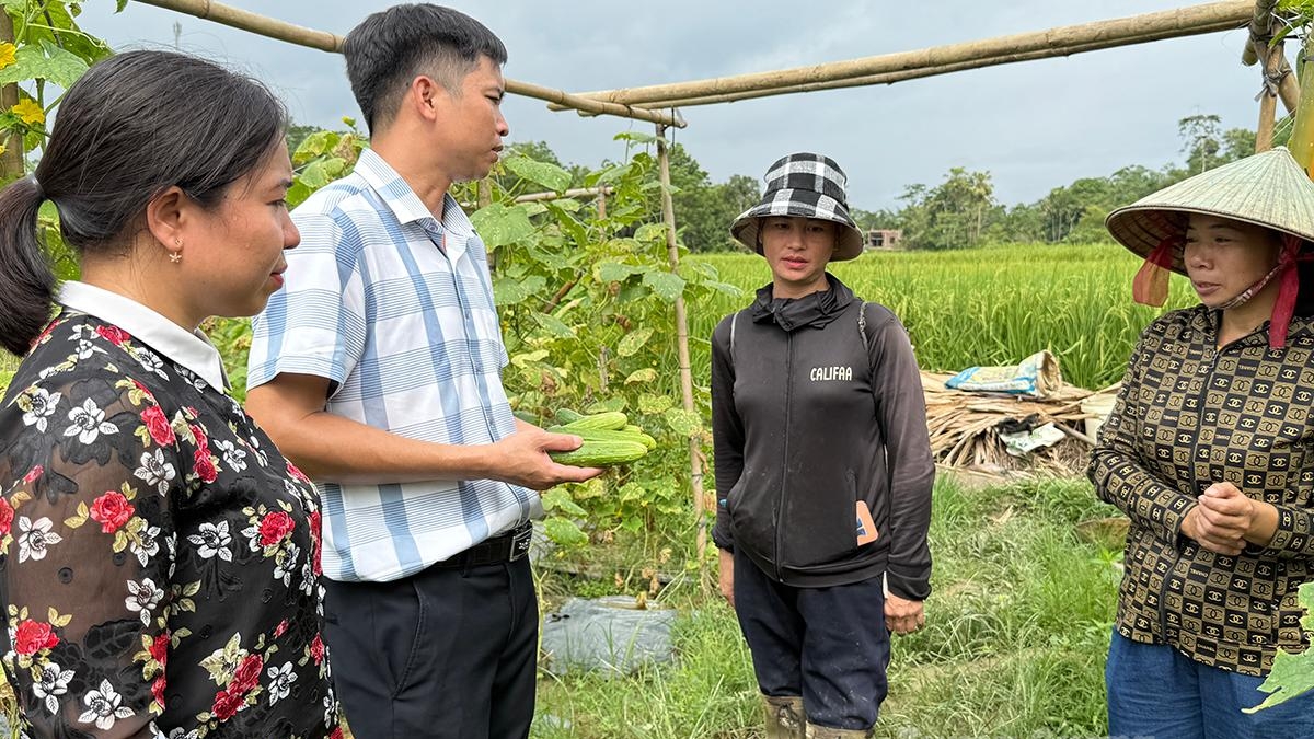 Tuyên Quang: Hướng đi bền vững trong tiêu thụ nông sản