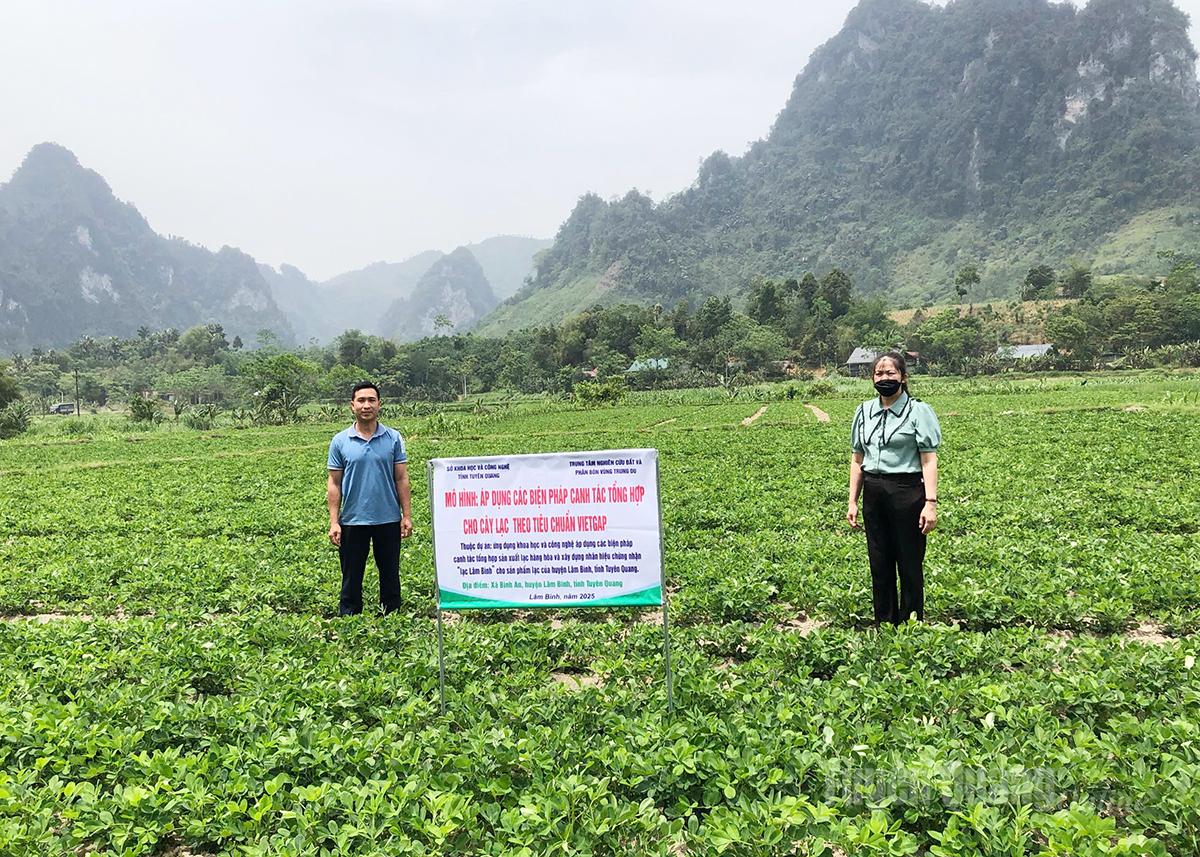 Tuyên Quang: Đăng ký nhãn hiệu chứng nhận – Hướng đi bền vững cho Lạc Minh Quang Tuyên Quang: Đăng ký nhãn hiệu chứng nhận – Hướng đi bền vững cho Lạc Minh Quang