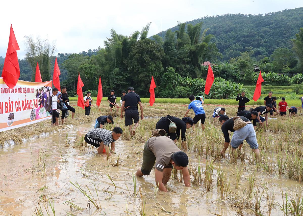 Tuyên Quang: Lễ hội Tết cá người Tày xã Mậu Duệ Tuyên Quang: Lễ hội Tết cá người Tày xã Mậu Duệ
