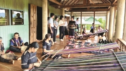 Người trẻ xây “nghiệp lớn” từ chính bản làng