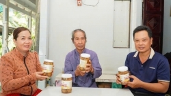 Cần Thơ: Giữ vị chanh muối Thuận An