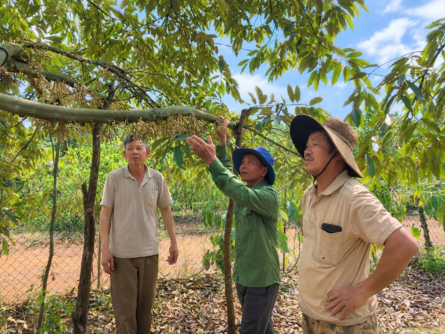Lâm Đồng: Những nông dân hợp tác vươn lên