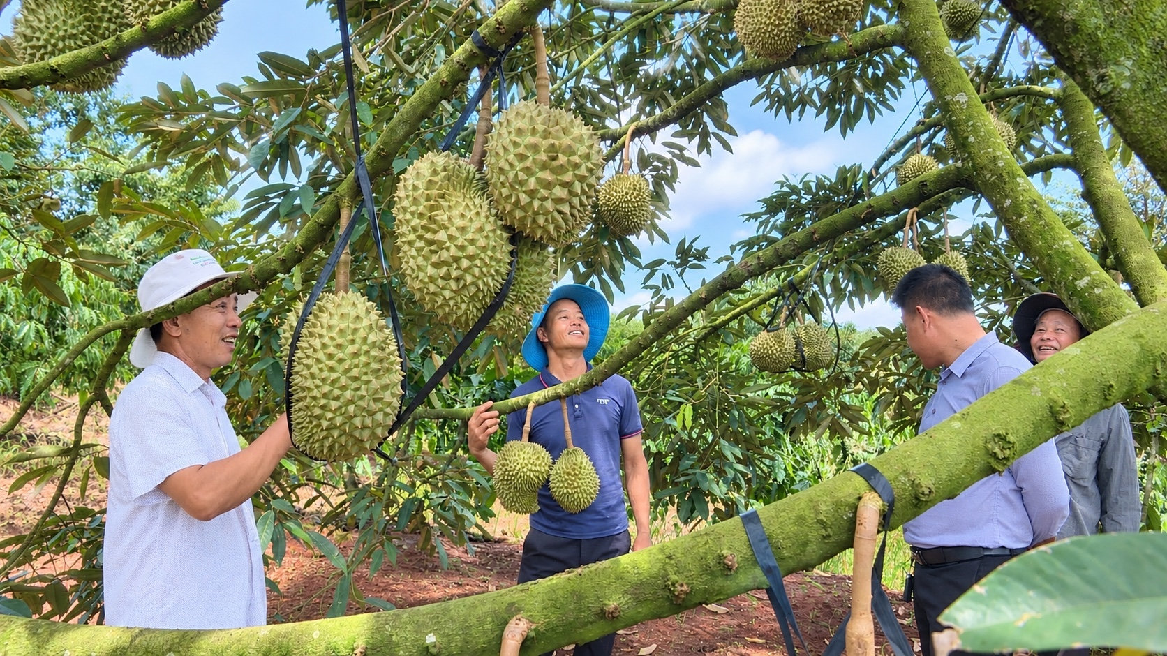 Lâm Đồng: Những nông dân hợp tác vươn lên