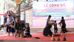 Lâm Đồng: Đa dạng “sắc màu” cho Festival Hoa