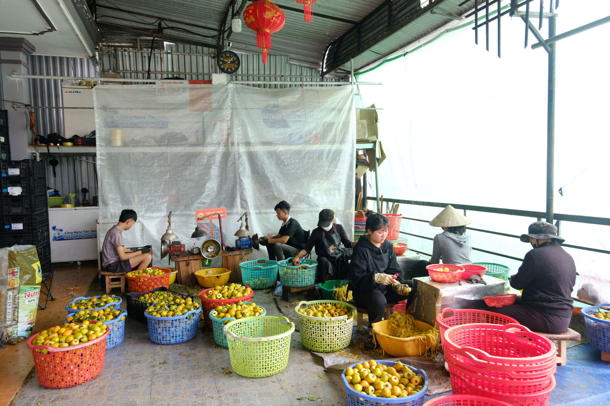 Lâm Đồng: Đa dạng “sắc màu” cho Festival Hoa
