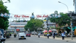 Lâm Đồng khảo sát phương án phát triển kinh tế đêm phục vụ Festival Hoa