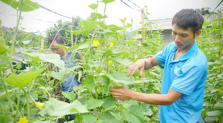 Tuyên Quang: Mở lối giảm nghèo ở Tân Tiến