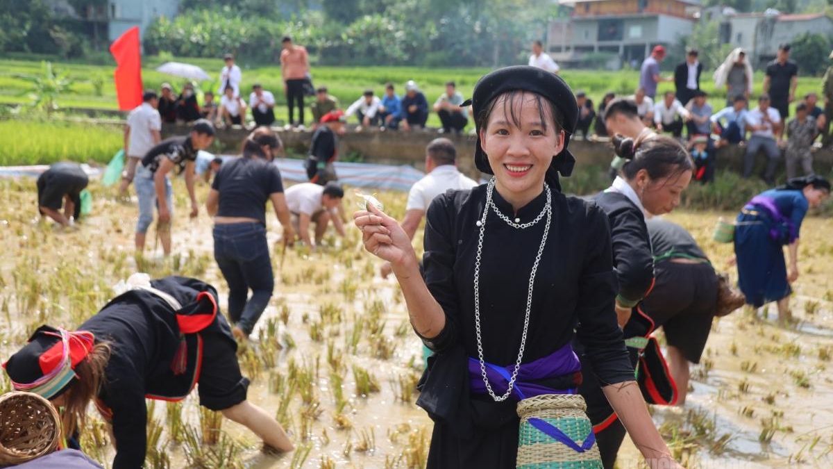 Tuyên Quang: Độc đáo Tết cá của đồng bào dân tộc Tày xã Mậu Duệ