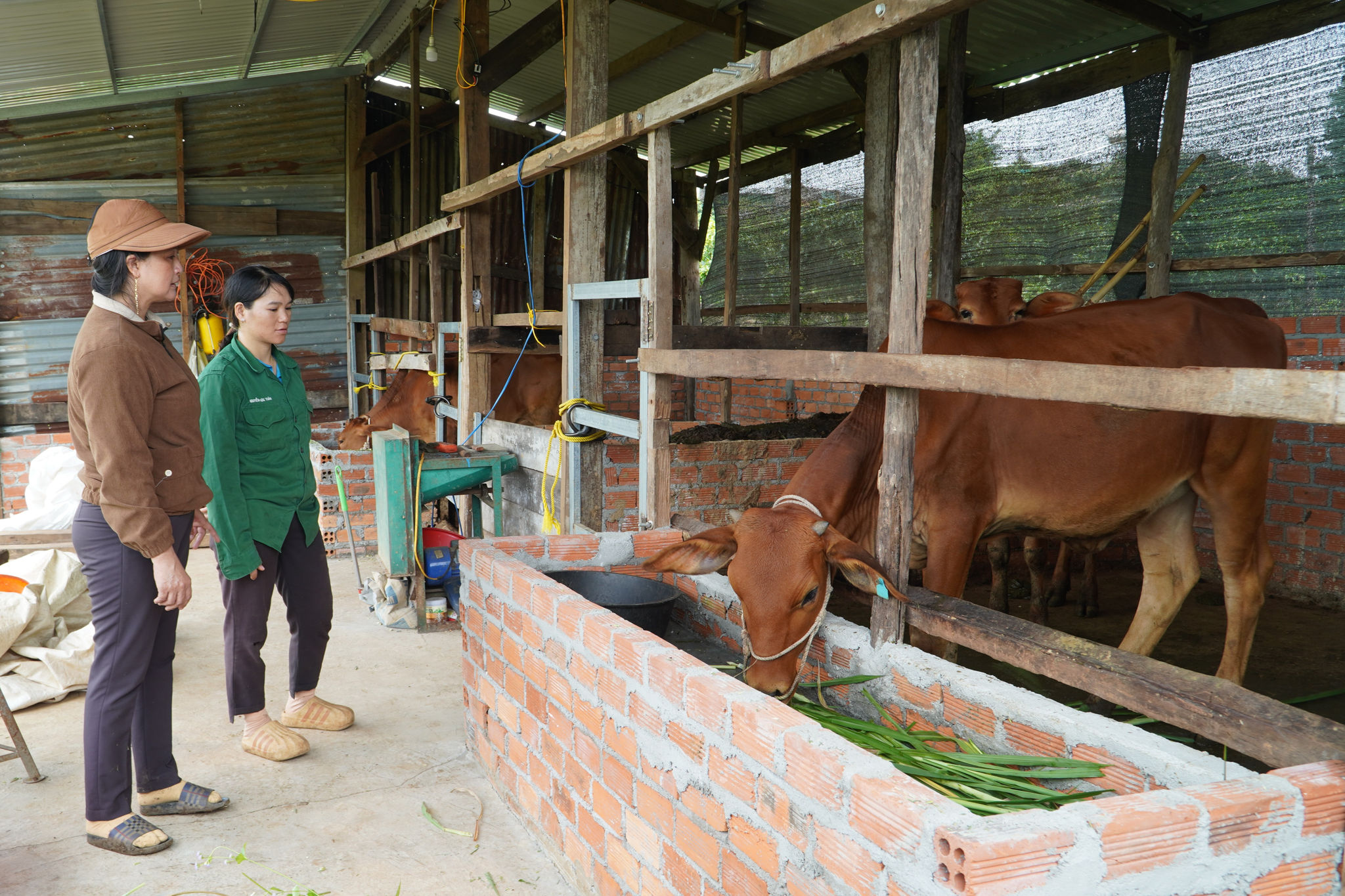 Lâm Đồng: Từ hỗ trợ sinh kế đến giảm nghèo bền vững