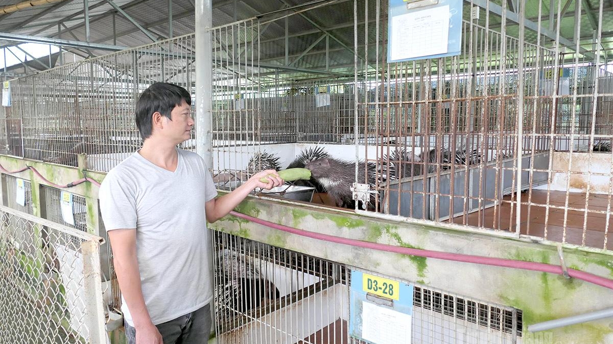 Tuyên Quang: Mở hướng cho hàng hóa chất lượng cao
