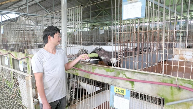 Tuyên Quang: Mở hướng cho hàng hóa chất lượng cao