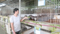 Tuyên Quang: Mở hướng cho hàng hóa chất lượng cao