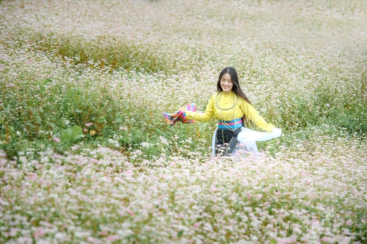 Hoa Tam giác mạch bung nở tại thôn Sán Trồ, xã Lũng Cú.