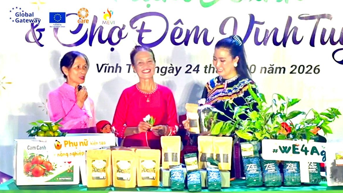 Tuyên Quang: Đánh giá hiệu quả và kết nối thị trường chuỗi giá trị chè xanh
