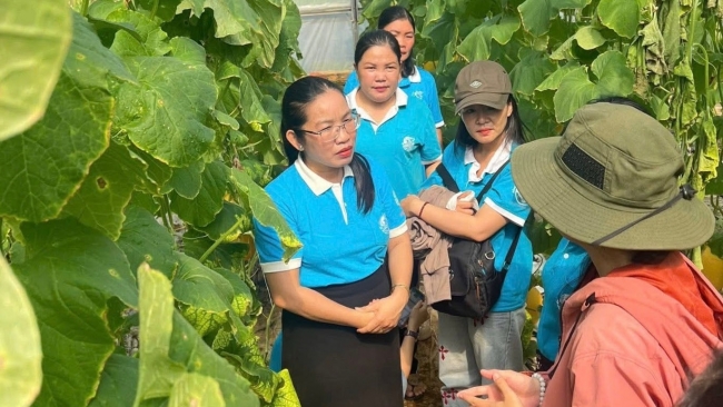 Lâm Đồng: Giúp phụ nữ tìm hướng phát triển kinh tế