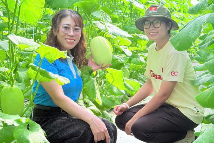 Lâm Đồng: Giúp phụ nữ tìm hướng phát triển kinh tế