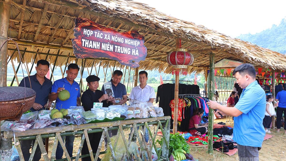 Tuyên Quang: Thanh niên làm “đại sứ nông sản”