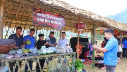 Tuyên Quang: Thanh niên làm “đại sứ nông sản”