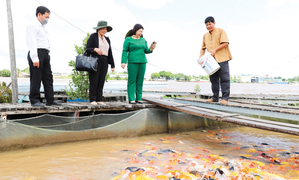 Cần Thơ: Du lịch canh nông - đòn bẩy phát triển kinh tế