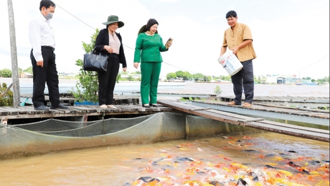 Cần Thơ: Du lịch canh nông - đòn bẩy phát triển kinh tế