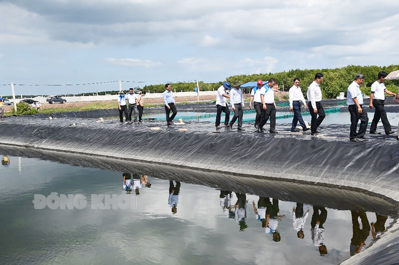 Bến Tre: Tập trung tái cơ cấu phát triển kinh tế nông nghiệp