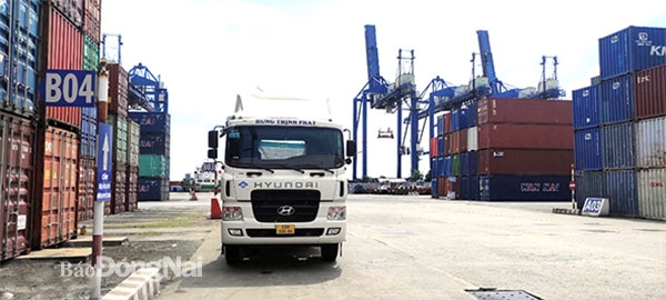 Kết nối địa phương là nhu cầu tất yếu cho sự phát triển logistics vùng Đông Nam bộ. Trong ảnh: Doanh nghiệp Đồng Nai thực hiện dịch vụ logistics, xuất nhập khẩu tại Cảng Cát Lái. Ảnh: V.Gia