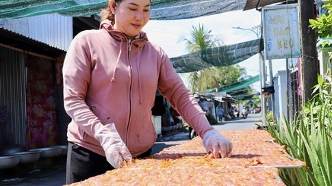 Cần Thơ: Sống khỏe nhờ kinh doanh cá lau kiếng