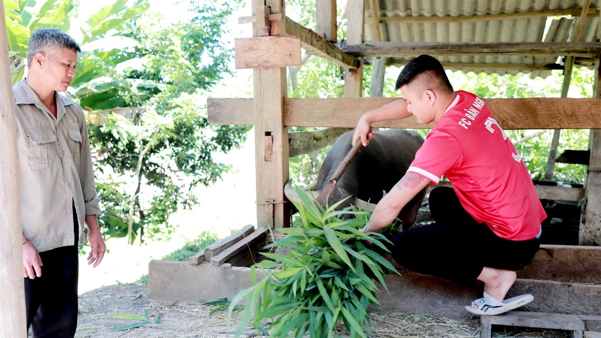 Hà Giang: Hiệu quả giải quyết việc làm cho lao động nông thôn Bắc Mê