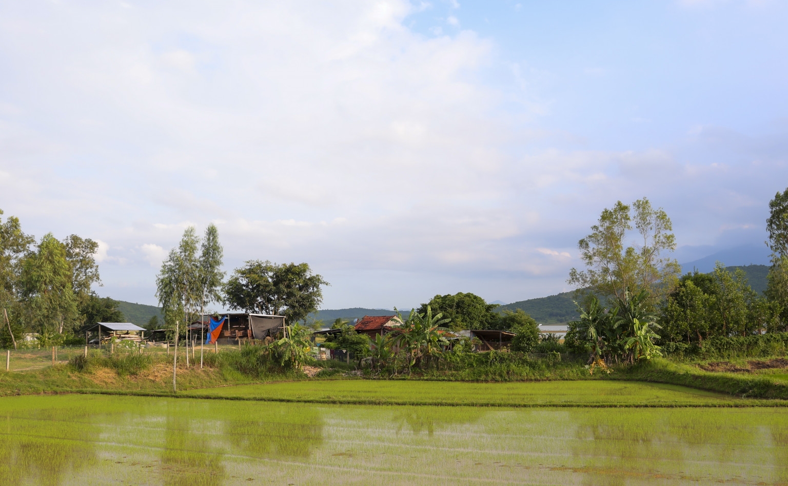 Khánh Hòa: Đất chồng lấn ở các hồ chứa nước nhiều năm chưa được giải quyết