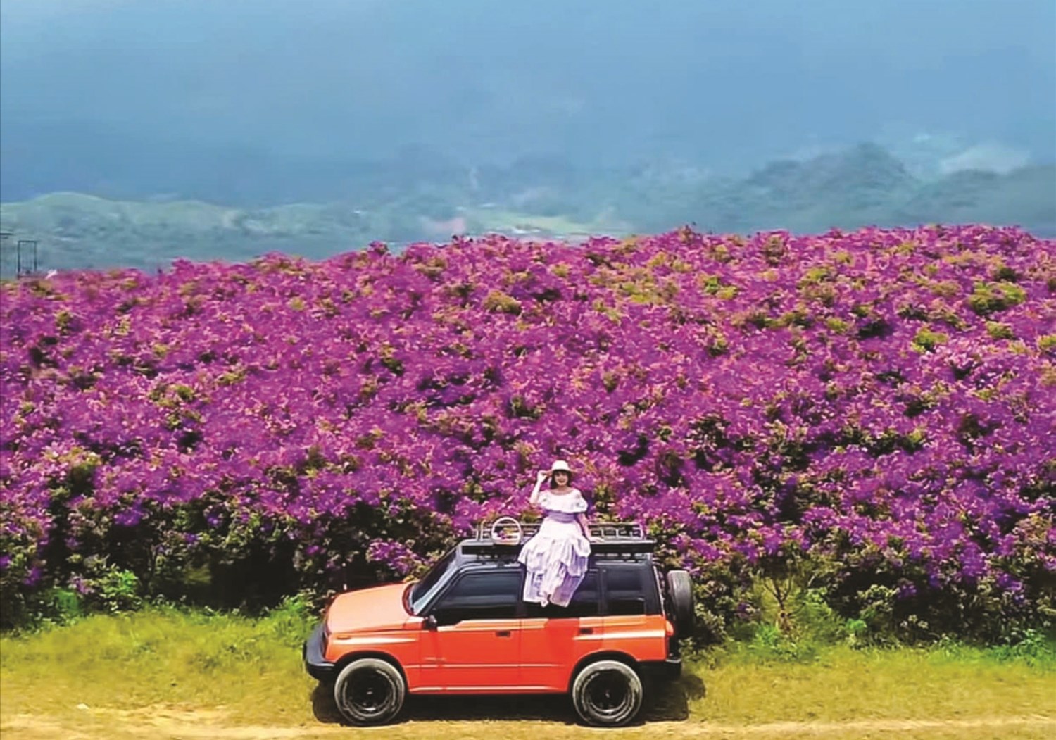 Sắc tím ở Vân Hồ