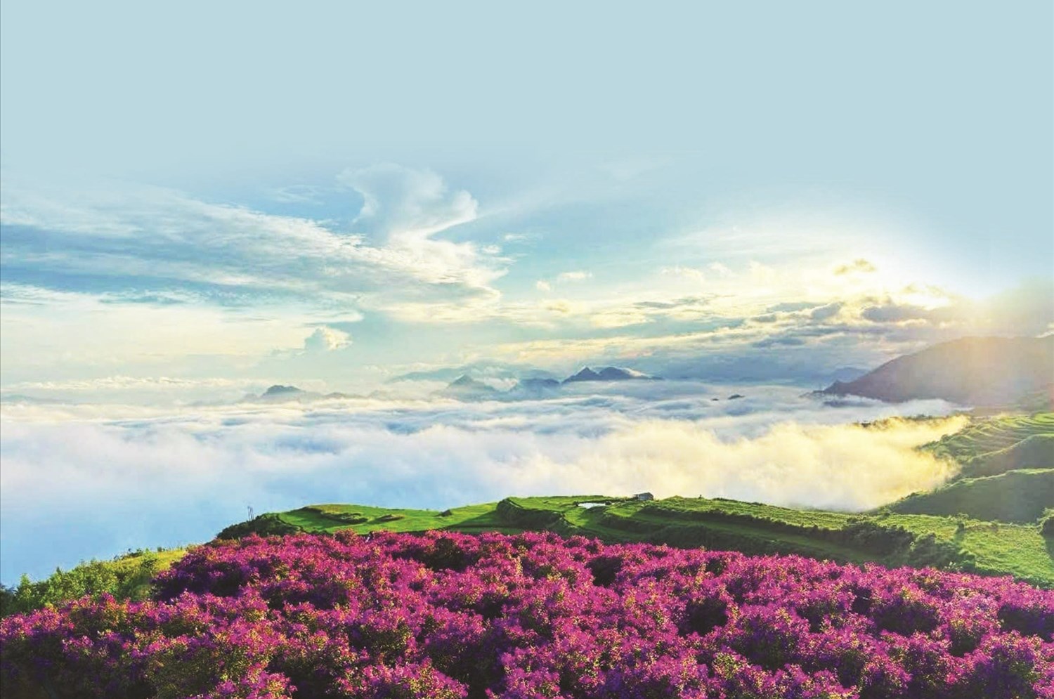 Sắc tím ở Vân Hồ