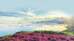 Sắc tím ở Vân Hồ