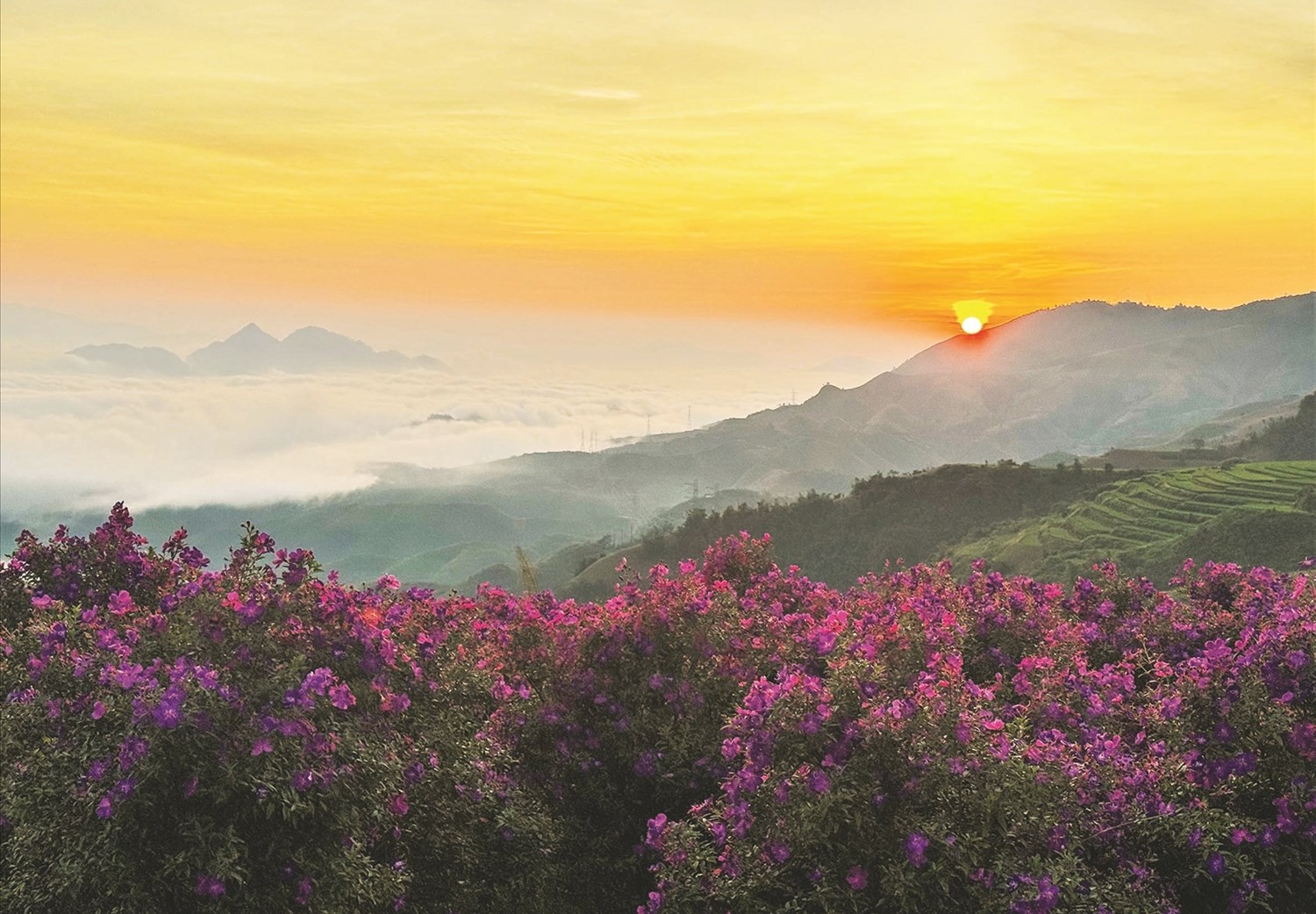 Sắc tím ở Vân Hồ