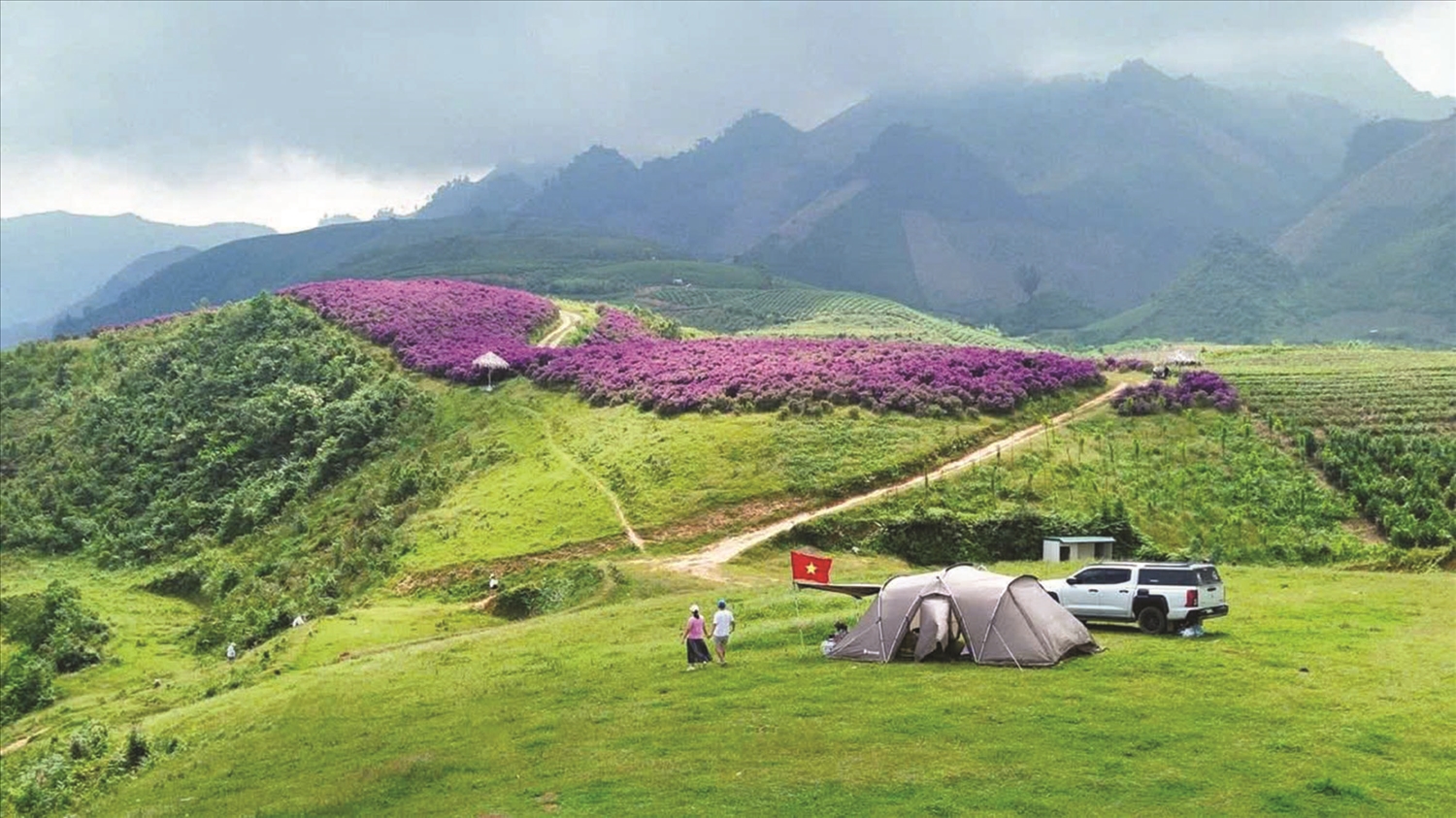 Sắc tím ở Vân Hồ