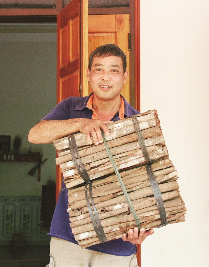 Hương quế "ấm dạ" người bản Dao