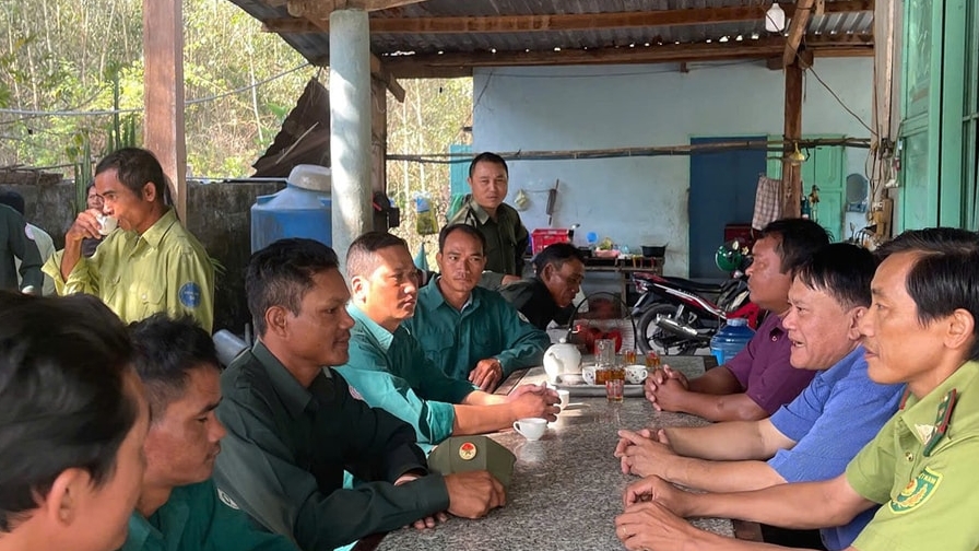 Lâm Đồng: Giữ rừng - giữ màu xanh cuộc sống