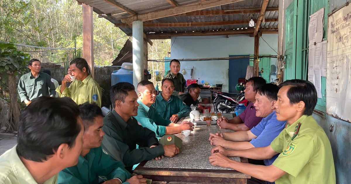 Lâm Đồng: Giữ rừng - giữ màu xanh cuộc sống