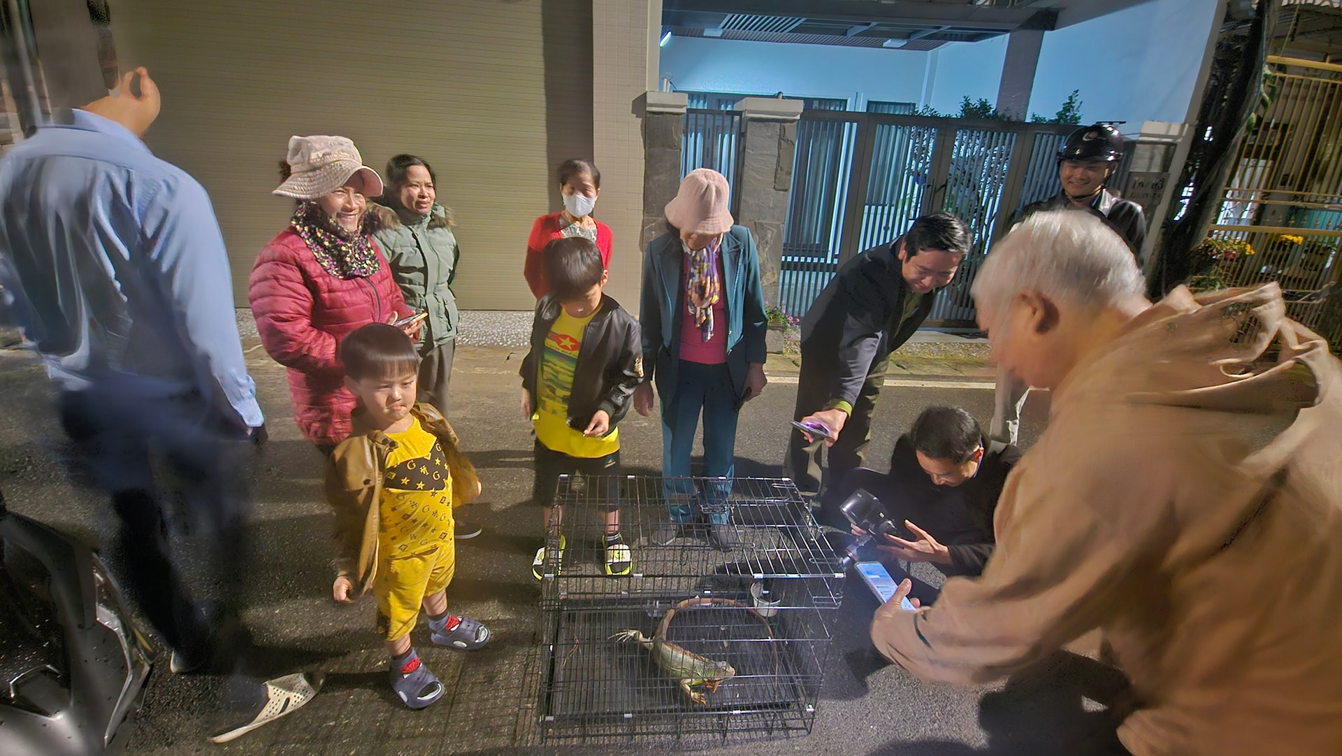 Lâm Đồng: Thả cá thể rồng Nam Mỹ về môi trường tự nhiên