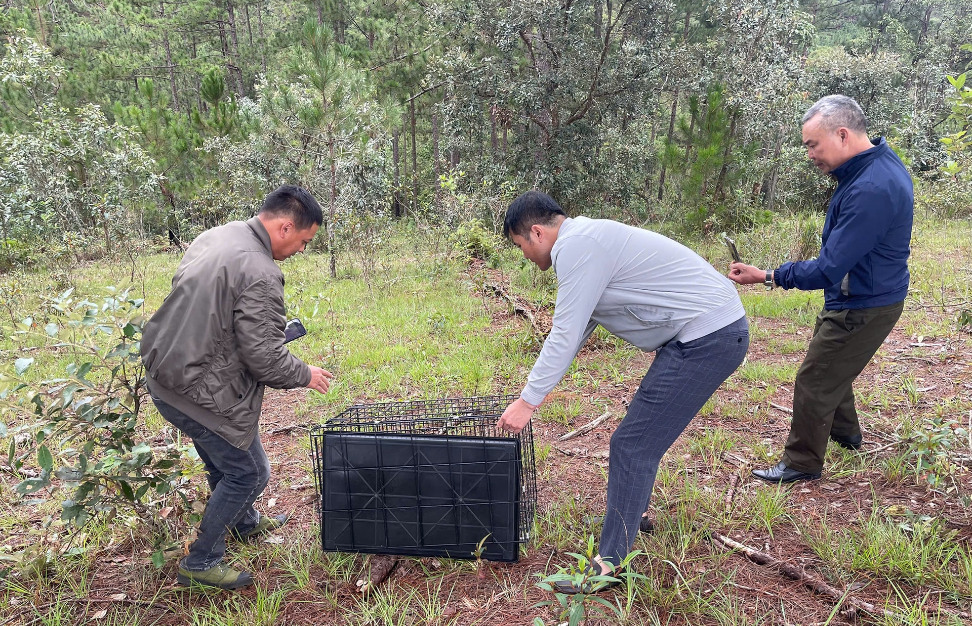 Lâm Đồng: Thả cá thể rồng Nam Mỹ về môi trường tự nhiên
