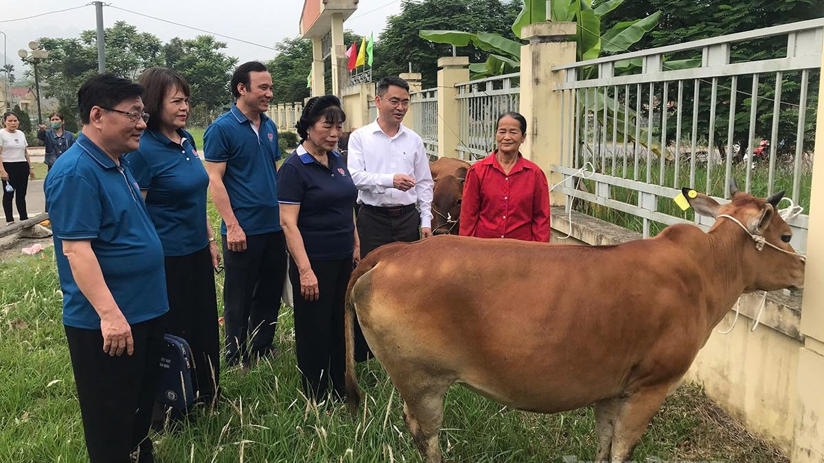 Tuyên Quang: Tạo cơ hội thoát nghèo cho người khuyết tật
