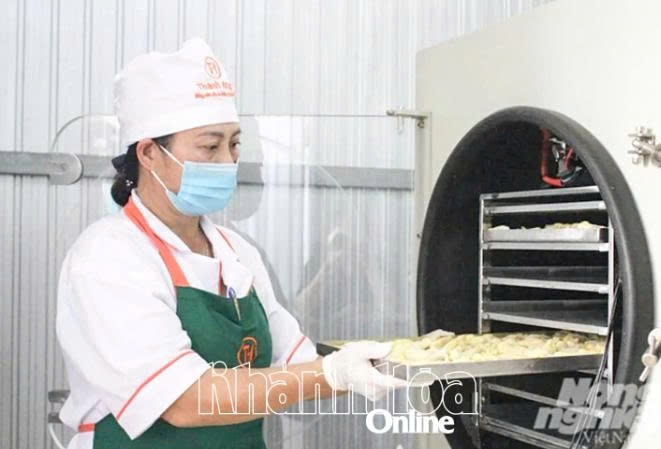 Khánh Hòa: Nâng cao giá trị sầu riêng Khánh Hòa: Nâng cao giá trị sầu riêng