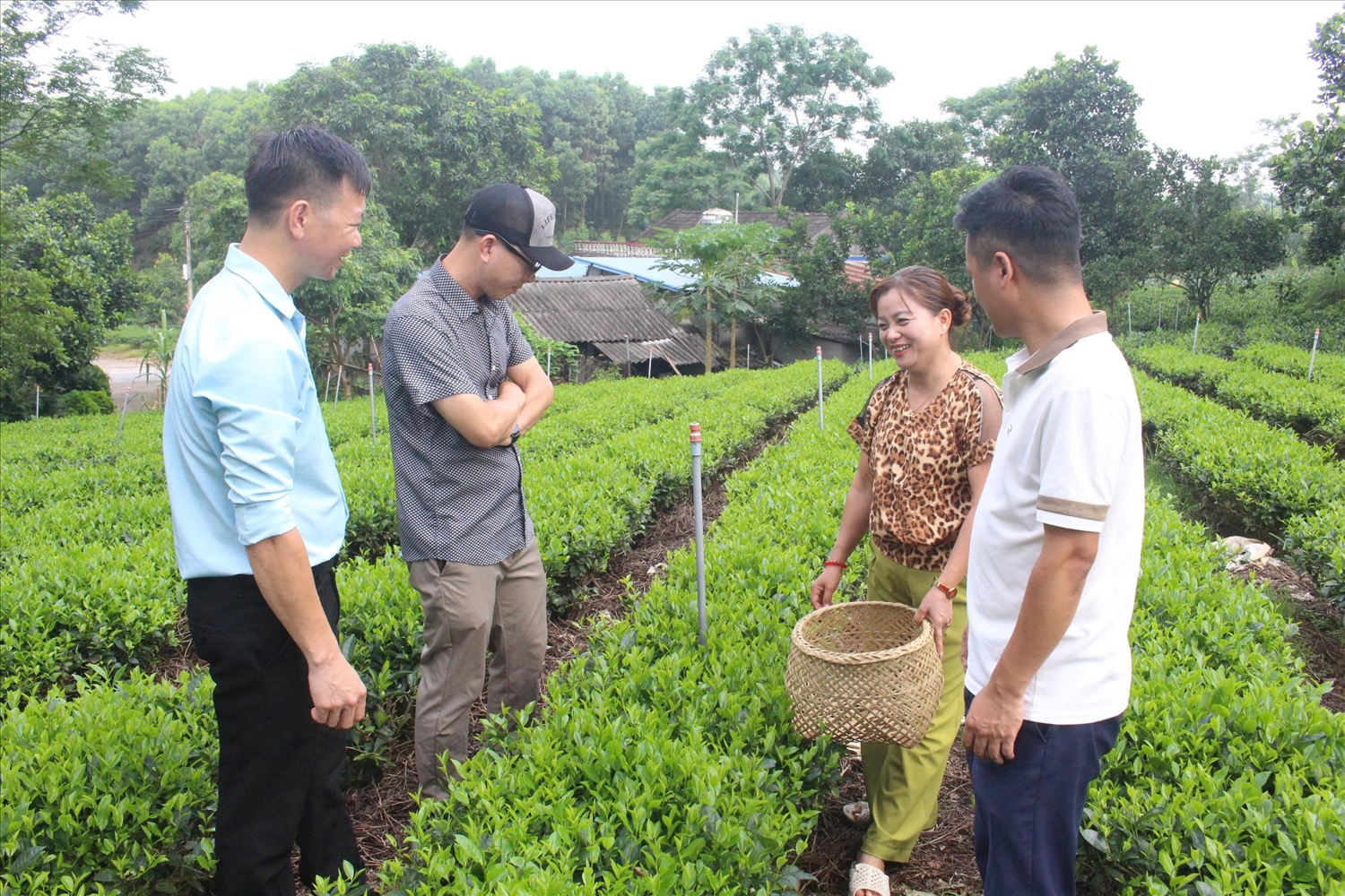 Chương trình OCOP động lực giúp người lao động thoát nghèo bền vững Chương trình OCOP động lực giúp người lao động thoát nghèo bền vững